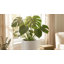 Pot de fleurs en céramique avec support en grès - pot décoratif texturé avec base en bambou - pot à fleurs surélevé intérieur / extérieur moderne-37322818
