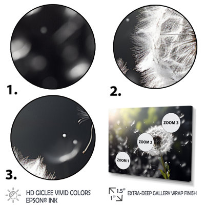 White Black Dandelion Whispers III - Floral Wall Art Living Room