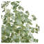 Faux eucalyptus 71,26 po