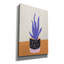 «Tropical Plant On A Pot Hot and Cold Trend» par Sabrina Balbuena, art mural sur toile, 18 po x 26 po-1492883036