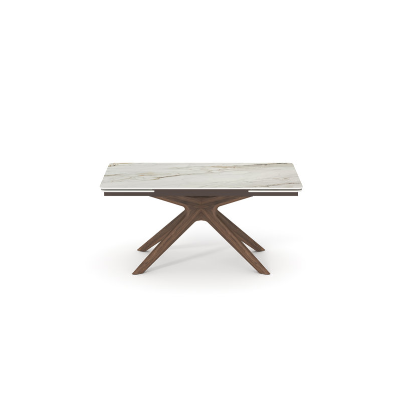 Shontavia Extension Dining Table