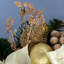 270cm Lighted Garland with Lights