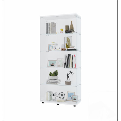 Deux portes vitrées à deux portes avec 5 tablettes élégantes et spacieuses pour mettre en valeur des objets de collection