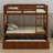 Bunk Bed With Trundle-1418256700
