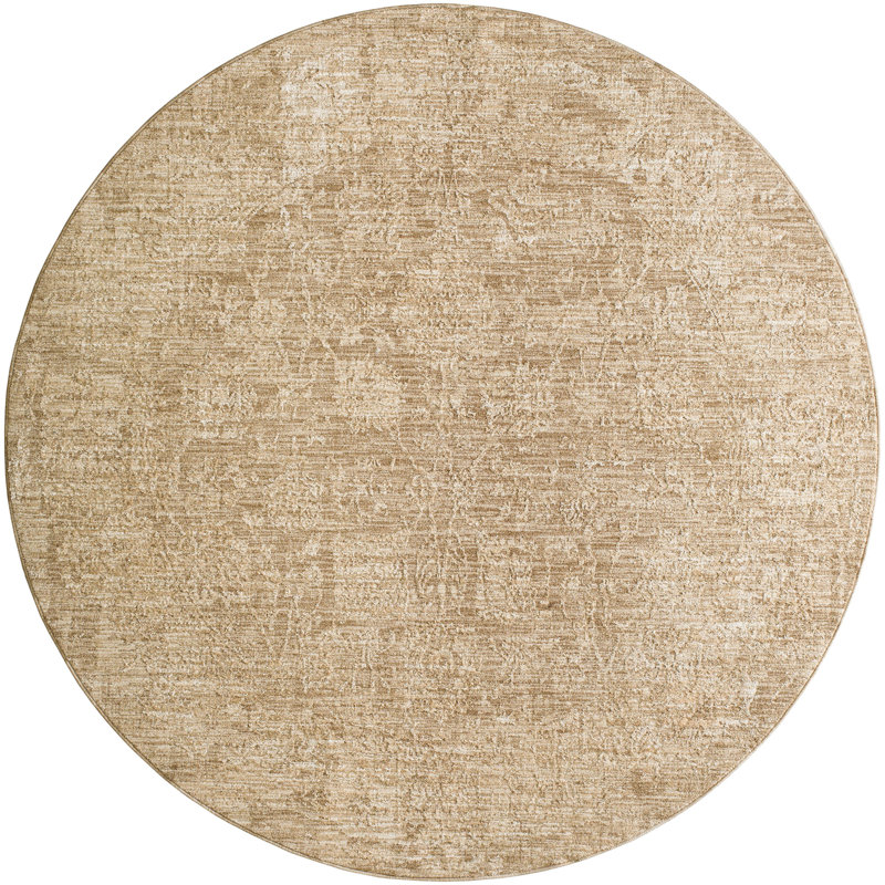 Alonzo Indoor Rug, Round 6'7" 