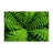 Stylish Non Woven Thin Type Printed Rug with Elegant Floral and Leaf Design for Indoor Use-1751494026