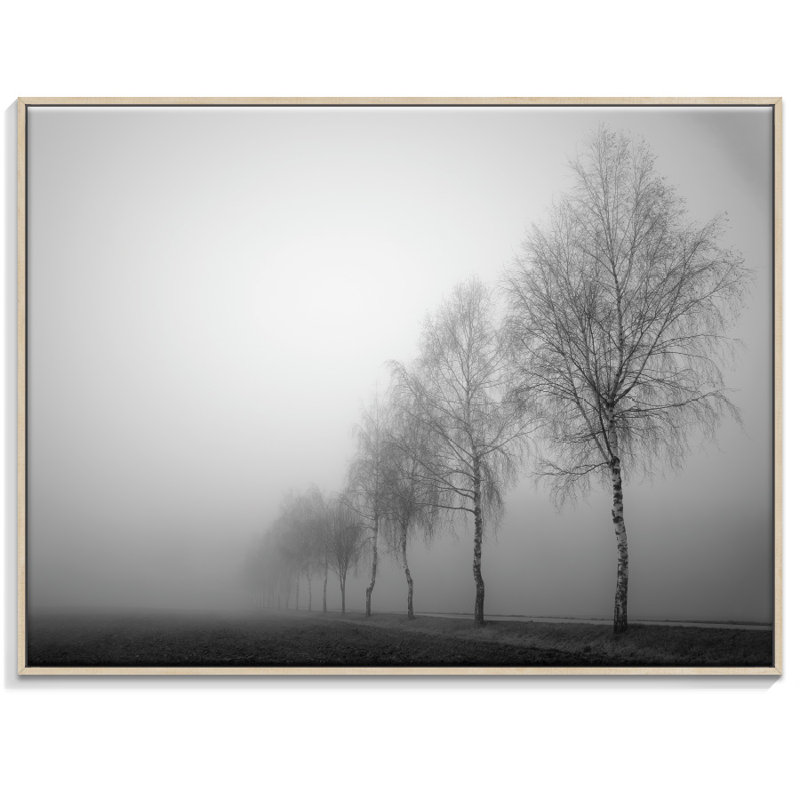 Print on Canvas, 76cm H x 102cm W, Timber Floater Frame