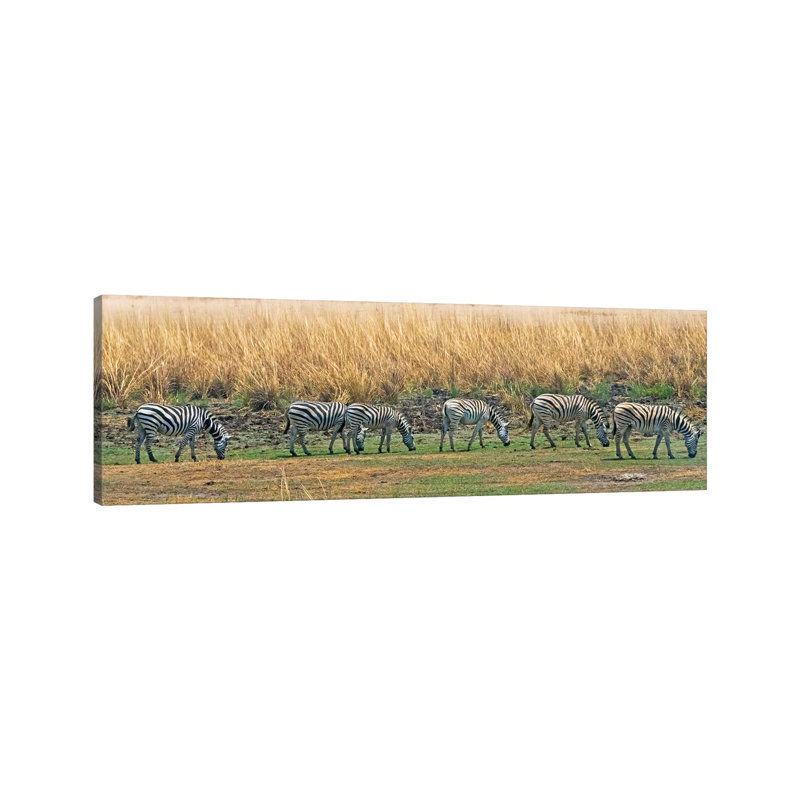 Zebras, Chobe National Park, North-West District, Botswana by Keren Su - Wrapped Canvas Panoramic Painting