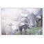 Parvez Taj - Single Picture Frame Print-19701410