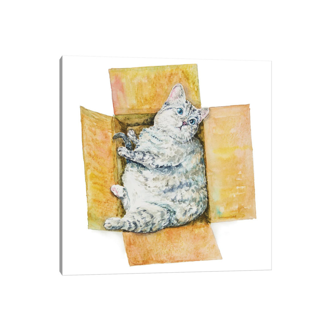 Fat Cat In The Box by Alexey Dmitrievich Shmyrov - Wrapped Canvas Print