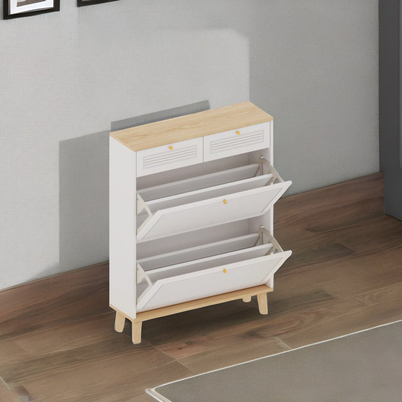 Shoes Storage Cabinet