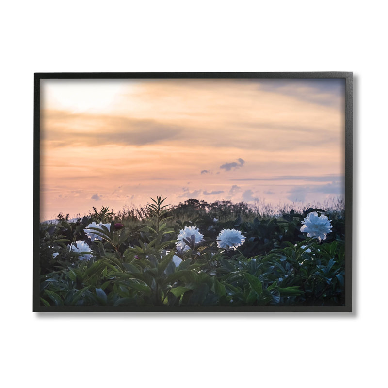 Art de giclée par Lil 'Rue, Giclée encadrée noir minuit, H 11 po x l 14 po x P 1,5 po