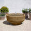 Girona Fountain-13918578
