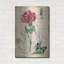  «Botanical Carnation Oeillet Damask» par Jean Plout, art mural en métal, 24 po x 36 po-62175493