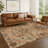 Machine Washable Indoor/Outdoor Chantille ACN2458 Traditional Rug-1152751329-1152751348