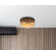 Bhushan Flush Mount
