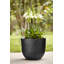 Plant Pot-72816957-72816958