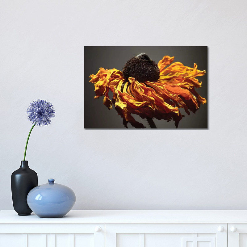 Studio Flowers VIII by James McLoughlin - Wrapped Canvas Print, 30.48 cm H x 45.72 cm W