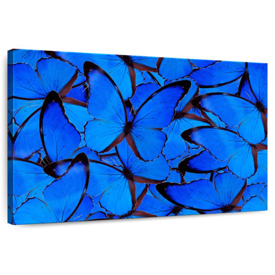 Papillons bleus Brampt