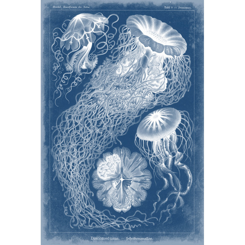 Marine Blueprint II - Wrapped Canvas Print, 122cm H x 81cm W x 3.8cm D