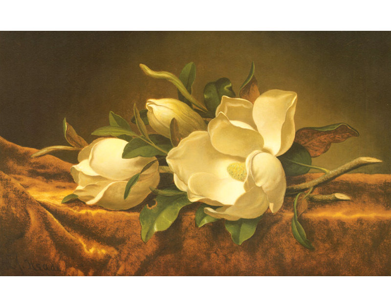 Magnolias sur velours doré IMA-H460, H 30 po x l 48 po
