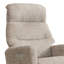 Chandani 68cm Wide Swivel Standard Recliner-1819338547