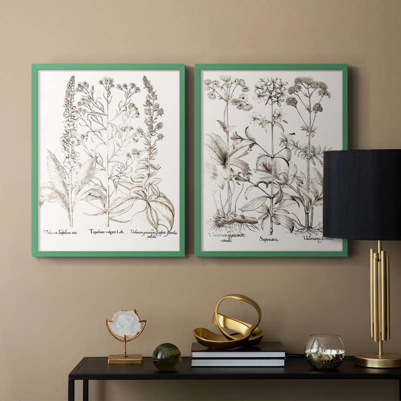 Impression sépia de qualité supérieure sépia Besler Botanicals - prêt à accrocher - aucun clou requis, Gris