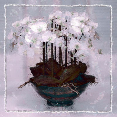 Abdouallah " Basket Of Flowers I "