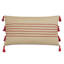 Joaquin Lumbar Pillow Cover & Insert