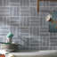 Galileo 2x6 Porcelain Wall and Floor Tile-2012007244