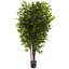 Arbre de ficus artificiel 71" en pot