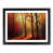 Black Framed selected