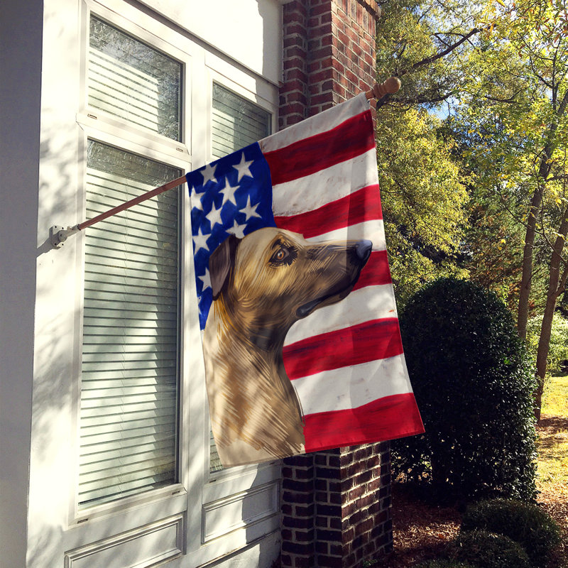Double Sided 40'' H x 28'' W Polyester Independence Day House Flag, Magyar Agar