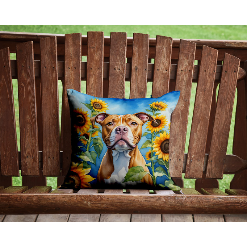 Other/No Pattern Outdoor Throw Pillow, 14" H x 14" W