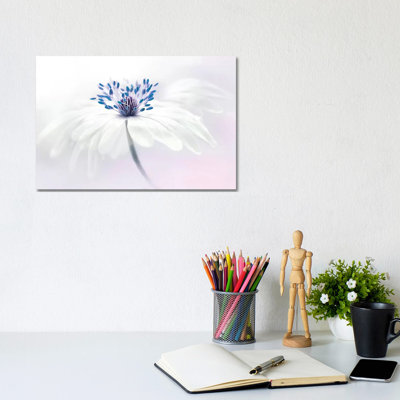 Anemone Blanda- Gallery-Wrapped Canvas Giclée