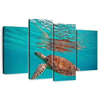Brampt Floating Sea Turtle