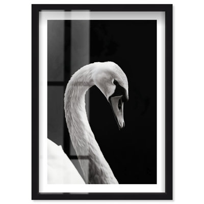 «Inverted Quack Shadowbox» par Notoriart