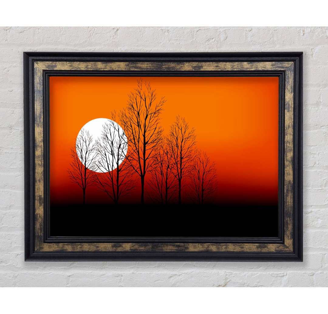 Orange Sunset Trees - Einzelne Bilderrahmen Kunstdrucke