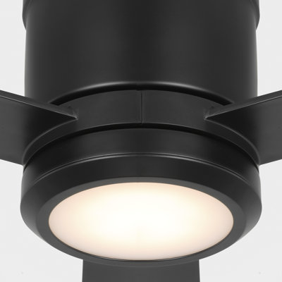 Rodrick Ceiling Fan with LED Lights