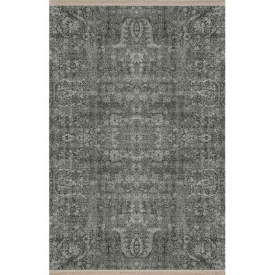 Runako Performance Washable Indoor / Outdoor Rug
