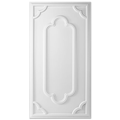 24'' W  x 48'' L Matte PVC Drop-In Ceiling Tile,Glue Up Ceiling Panel,12-Pack