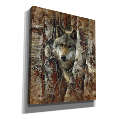 'Wood Land Spirit' by Collin Bogle, Canvas Wall Art