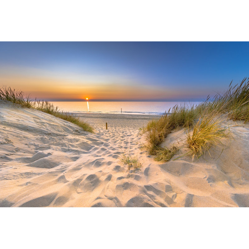 Dune océanique en Zélande, L 12 po x H 8 po