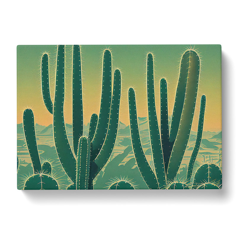 Superb Cactus - Wrapped Canvas, 40cm H x 60cm W x 3cm D