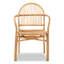 Chaise avec accoudoirs en rotin brun Charnessa