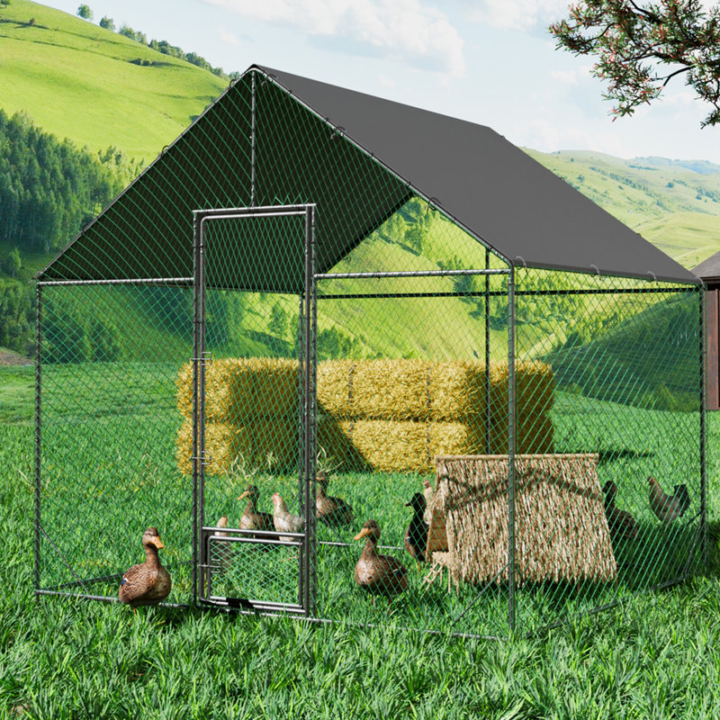 Poulailler en métal antirouille avec cage de volaille Runin,  H 109 po x l 118 po x P 81,5 po