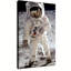 Affiche d'Apollo 11 atterrissage sur la lune, Buzz Aldrin-129479965-129479967