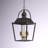 Alisina 4-Light Dimmable Lantern Chandelier