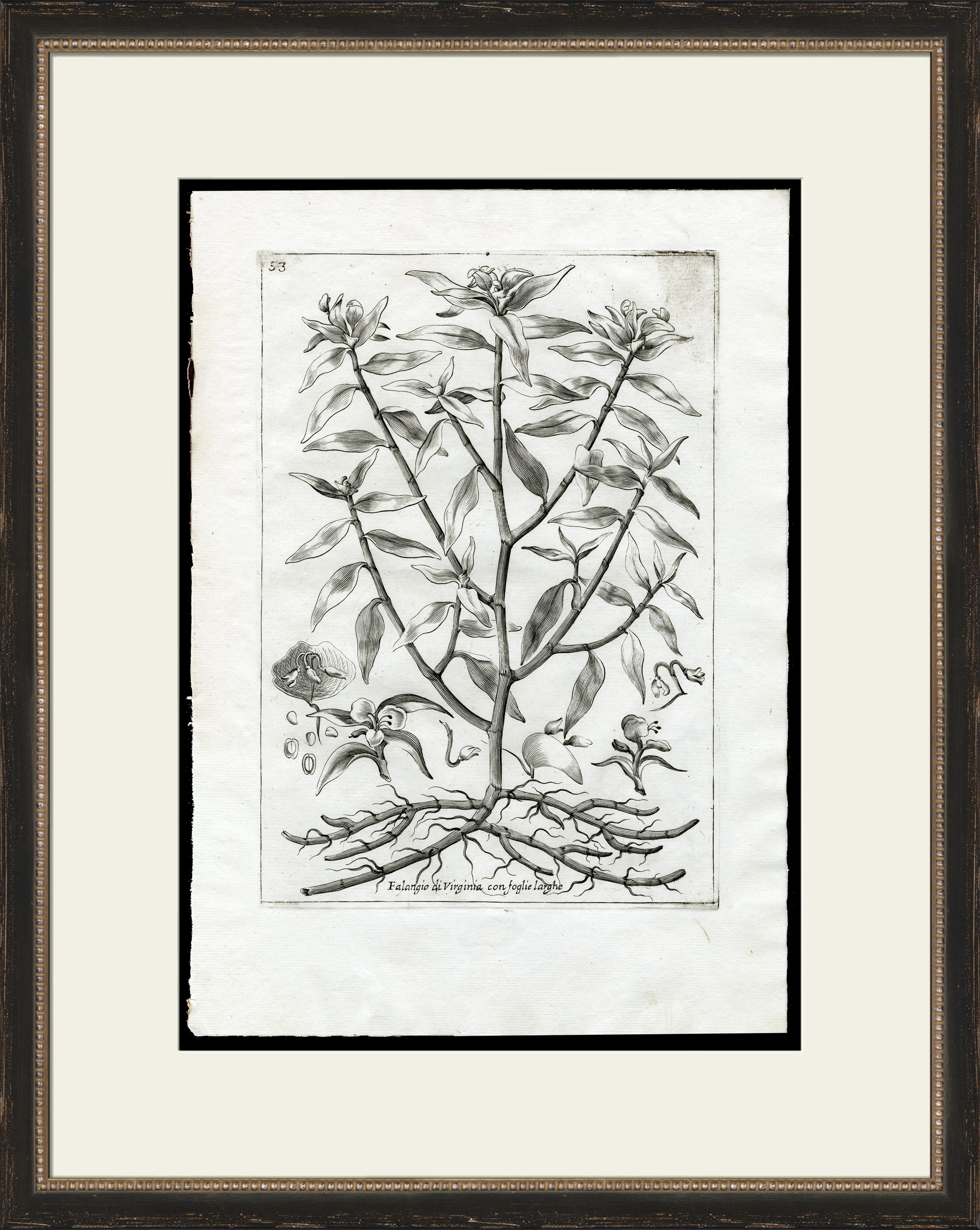 Wendover Art Group Rooted Plant II - Picture Frame Painting on Paper ...