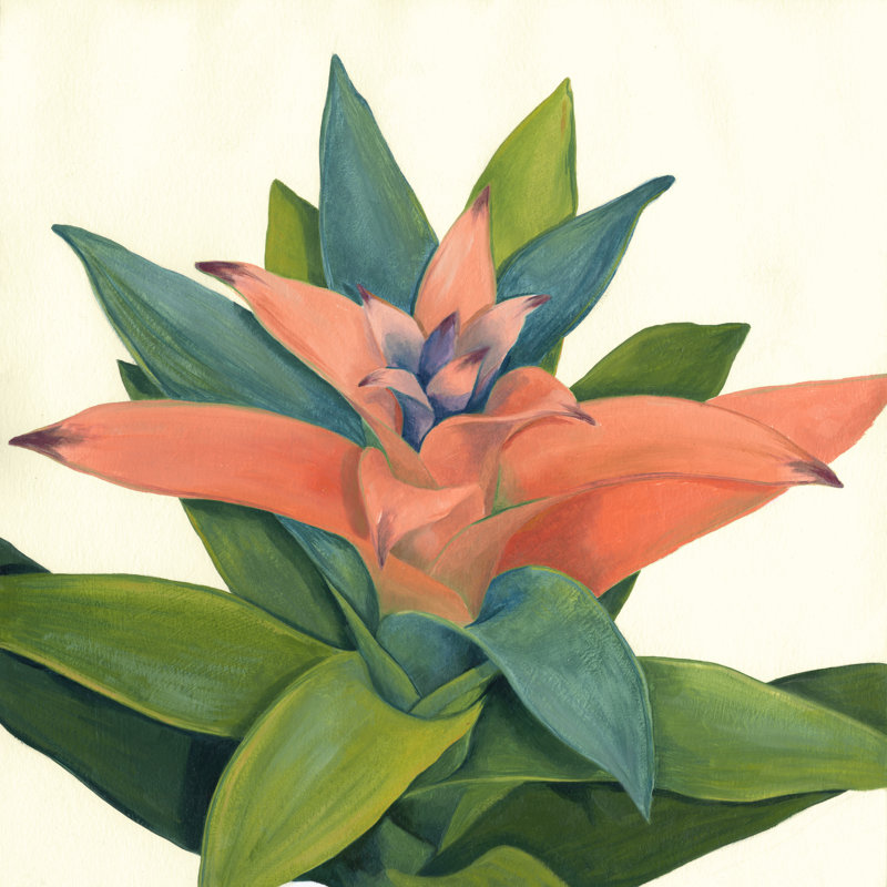 Tropical Bloom IV by Megan Meagher - Wrapped Canvas Painting, 30cm H x 30cm W